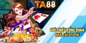 ta88